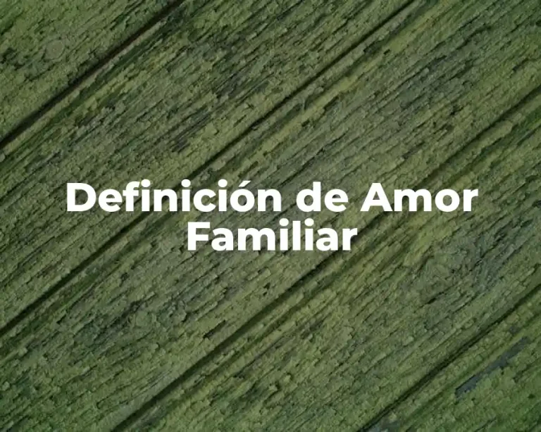 Definición de Amor Familiar