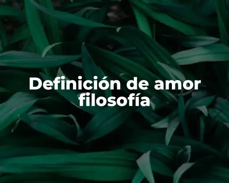 Definición de amor filosofía