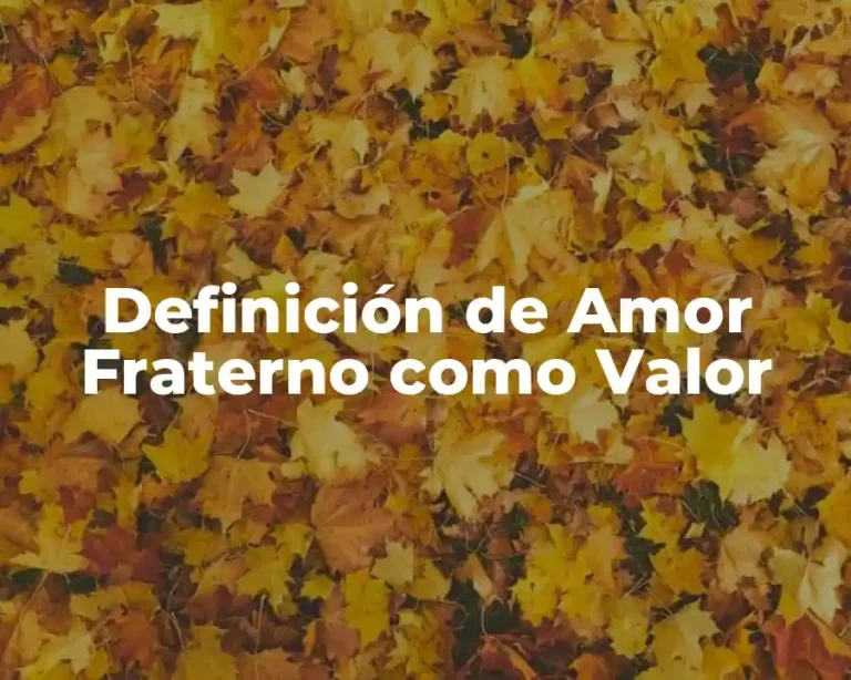 Definición de Amor Fraterno como Valor
