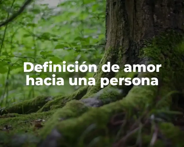 Definición de amor hacia una persona
