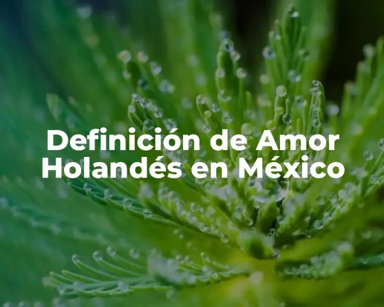 Definición de Amor Holandés en México