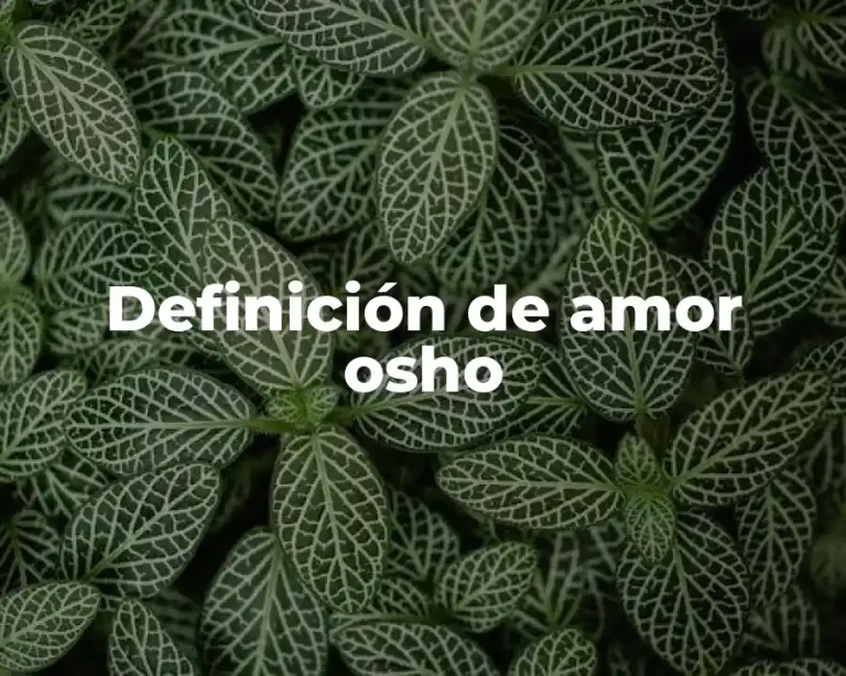 Definición de amor osho