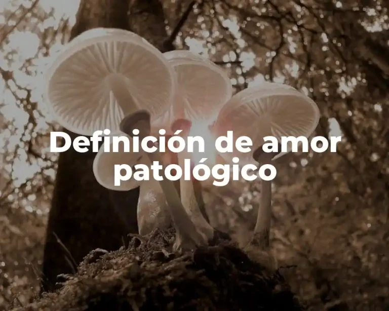 Definición de amor patológico