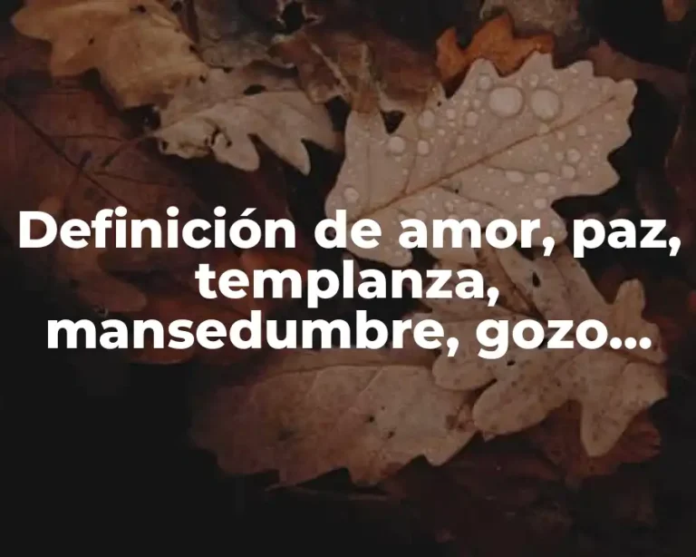 Definición de amor, paz, templanza, mansedumbre, gozo, paciencia