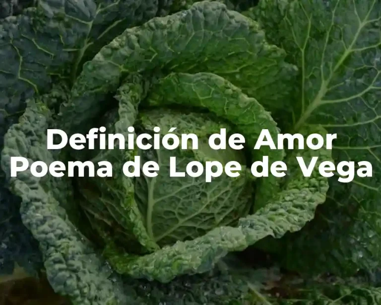 Definición de Amor Poema de Lope de Vega