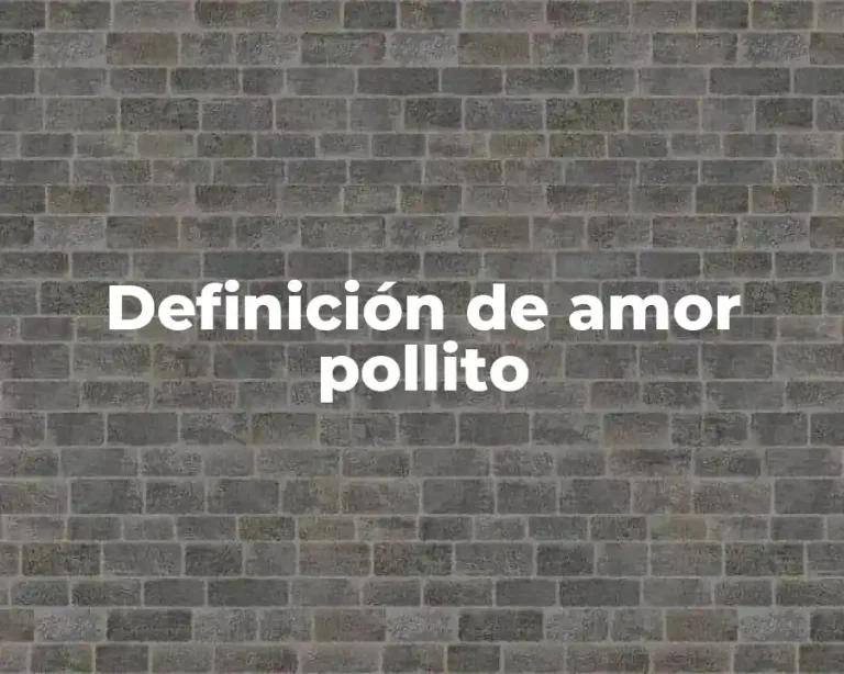 Definición de amor pollito