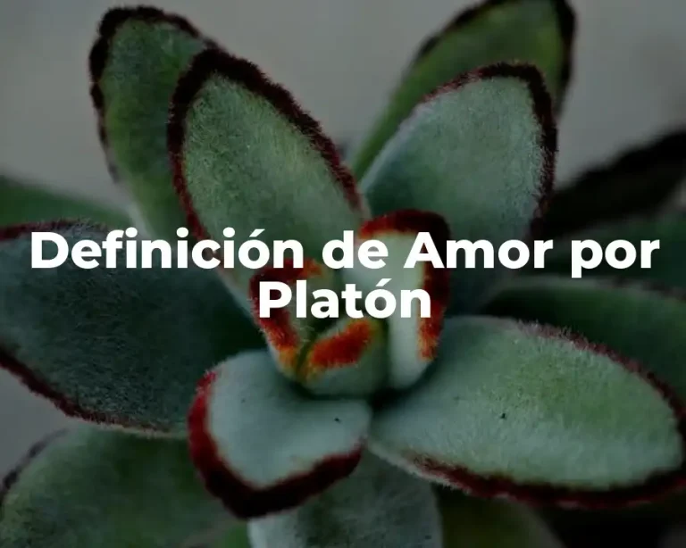 Definición de Amor por Platón