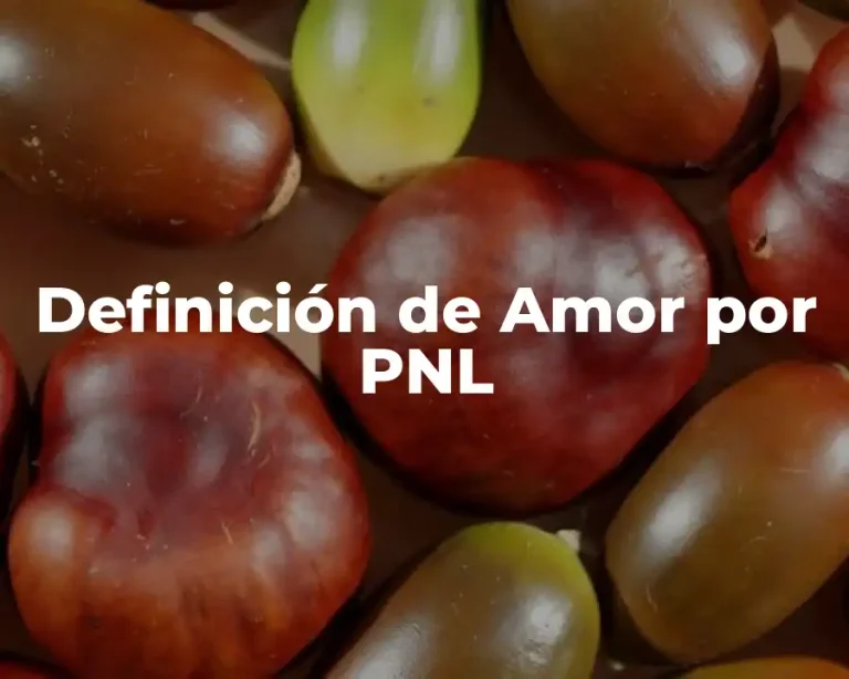 Definición de Amor por PNL