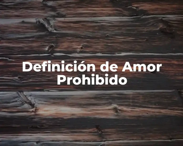 Definición de Amor Prohibido