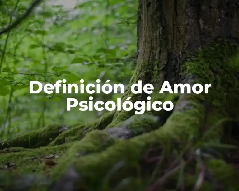 Definición de Amor Psicológico