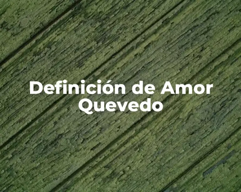 Definición de Amor Quevedo