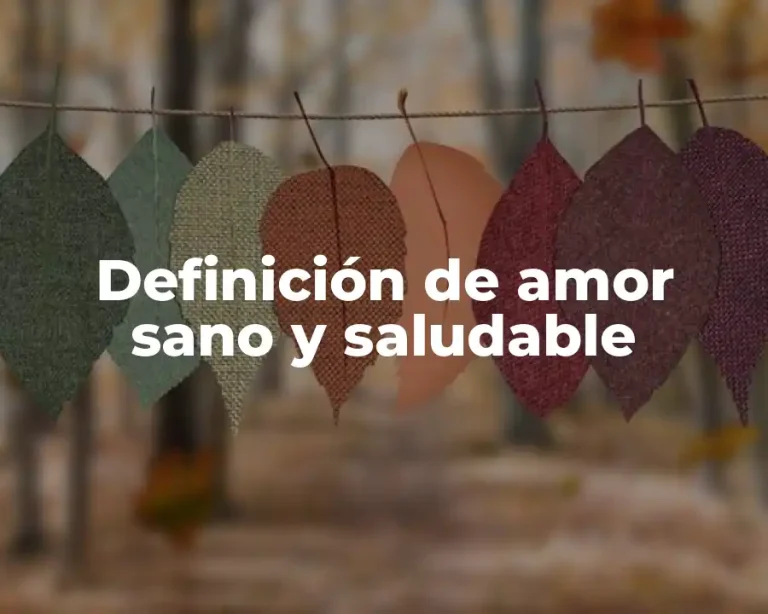 Definición de amor sano y saludable