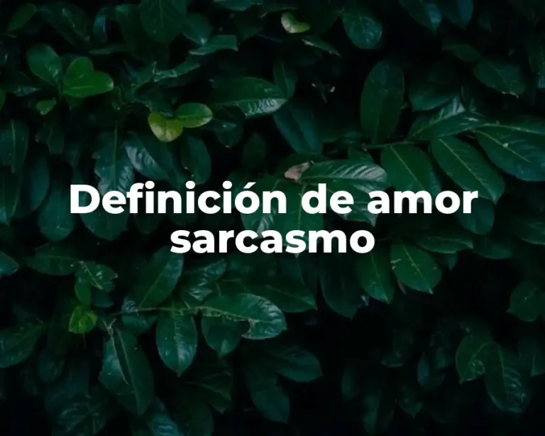 Definición de amor sarcasmo