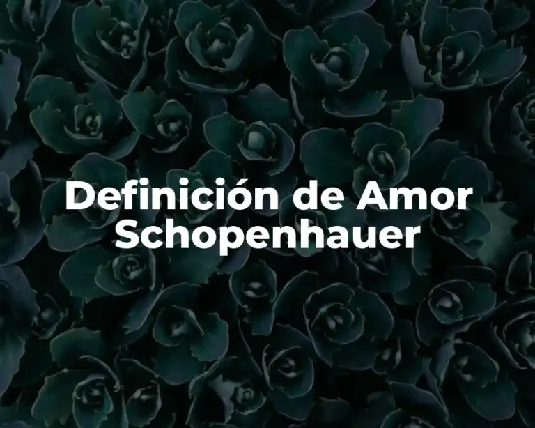 Definición de Amor Schopenhauer