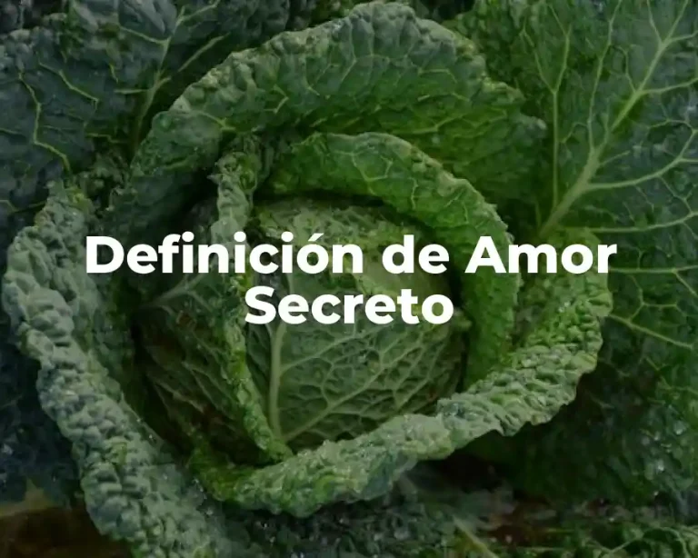 Definición de Amor Secreto