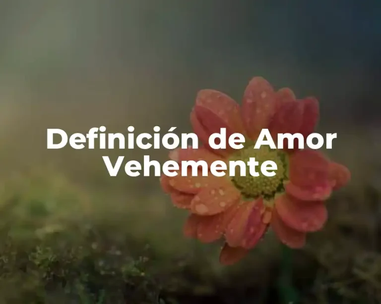 Definición de Amor Vehemente