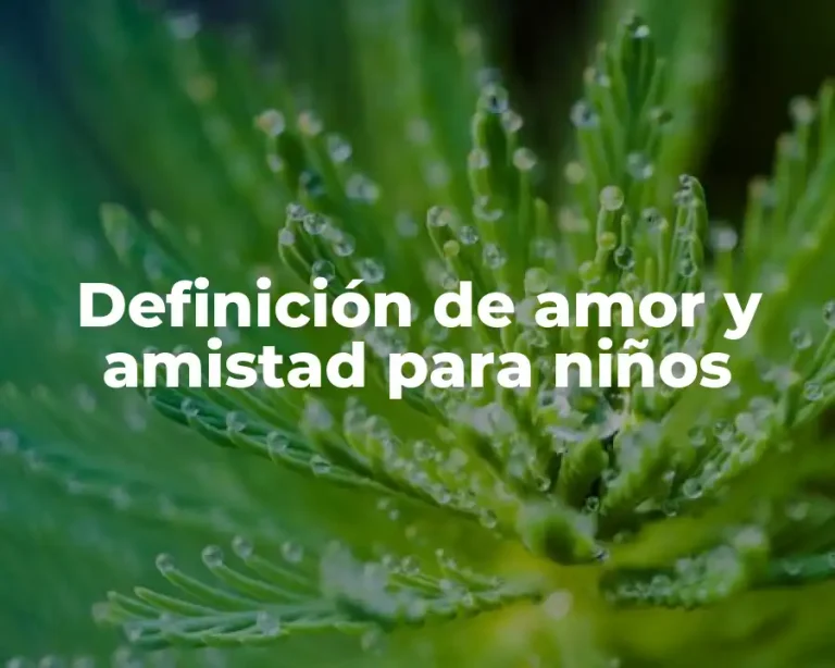 Definición de amor y amistad para niños