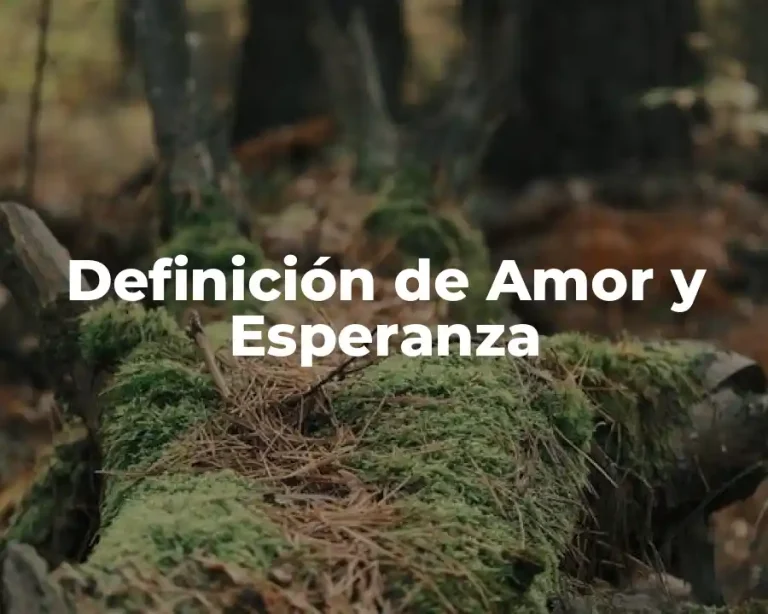 Definición de Amor y Esperanza