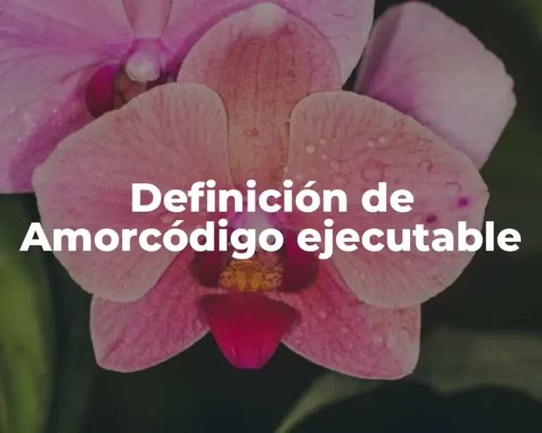 Definición de Amorcódigo ejecutable