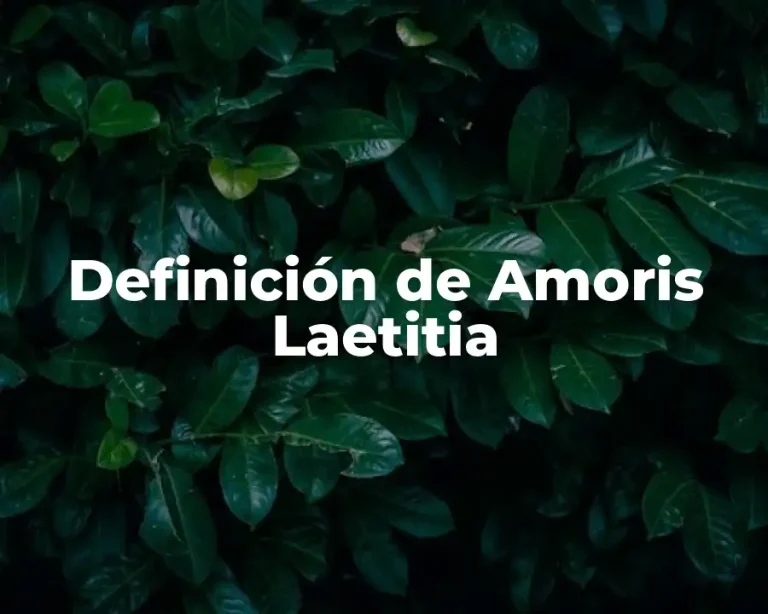 Definición de Amoris Laetitia