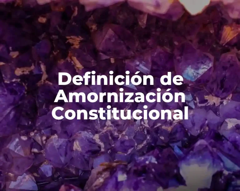 Definición de Amornización Constitucional