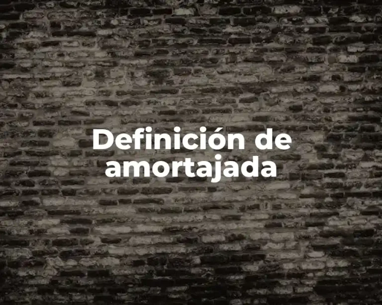 Definición de amortajada