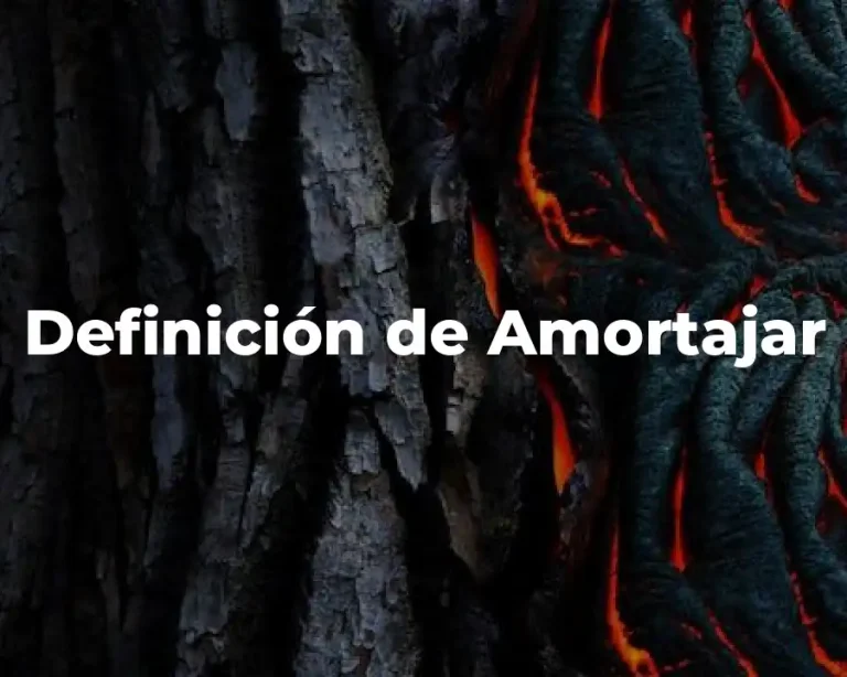 Definición de Amortajar