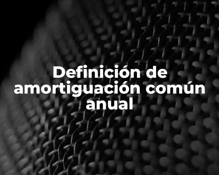 Definición de amortiguación común anual