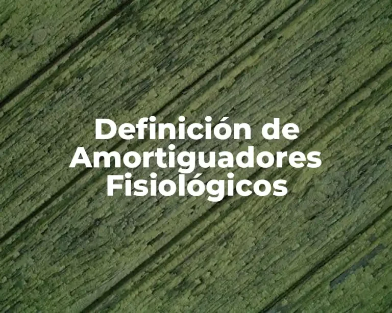 Definición de Amortiguadores Fisiológicos
