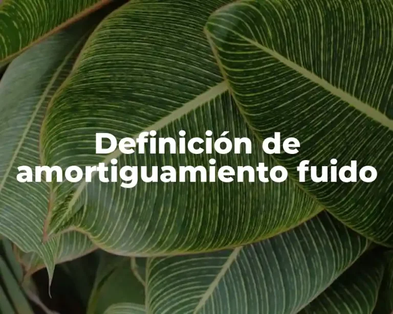 Definición de amortiguamiento fuido