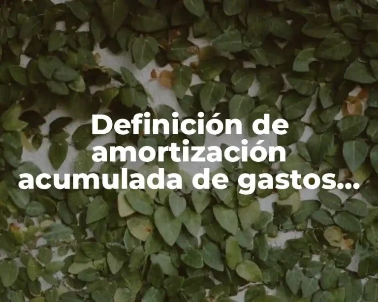 Definición de amortización acumulada de gastos de constitución