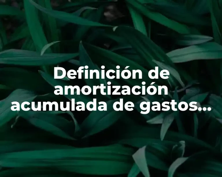 Definición de amortización acumulada de gastos de organización