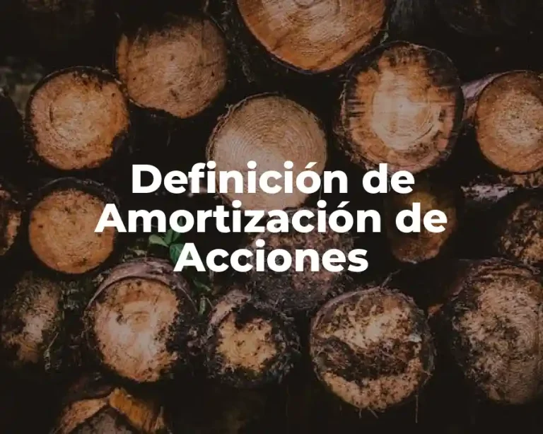 Definición de Amortización de Acciones