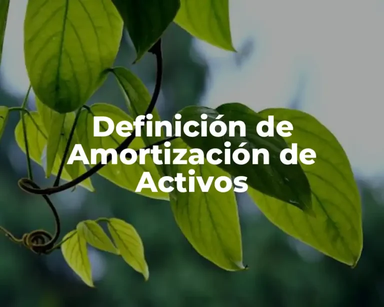Definición de Amortización de Activos