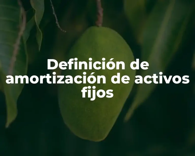 Definición de amortización de activos fijos