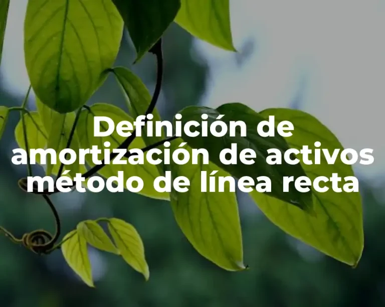Definición de amortización de activos método de línea recta