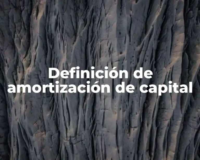 Definición de amortización de capital