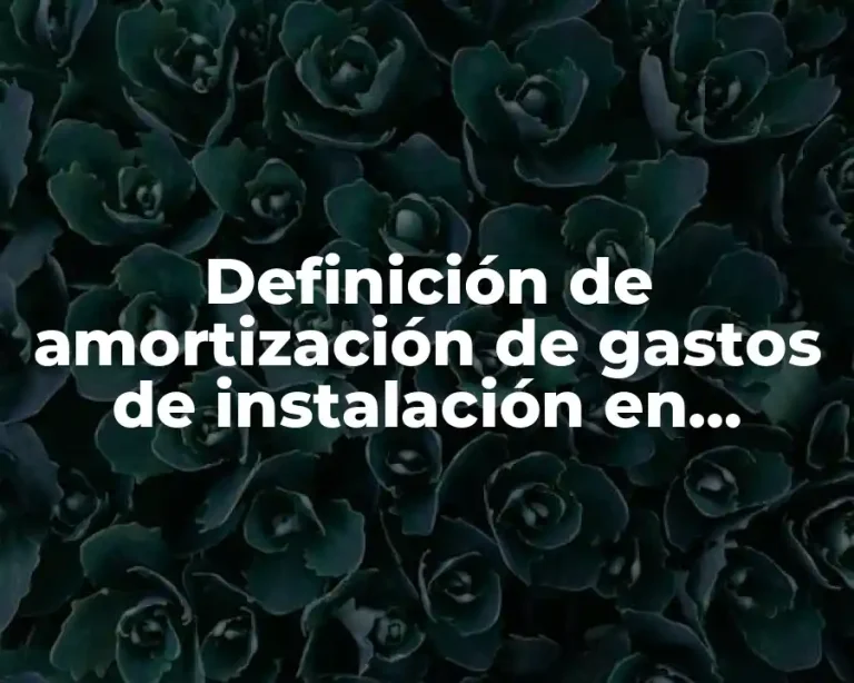 Definición de amortización de gastos de instalación en contabilidad