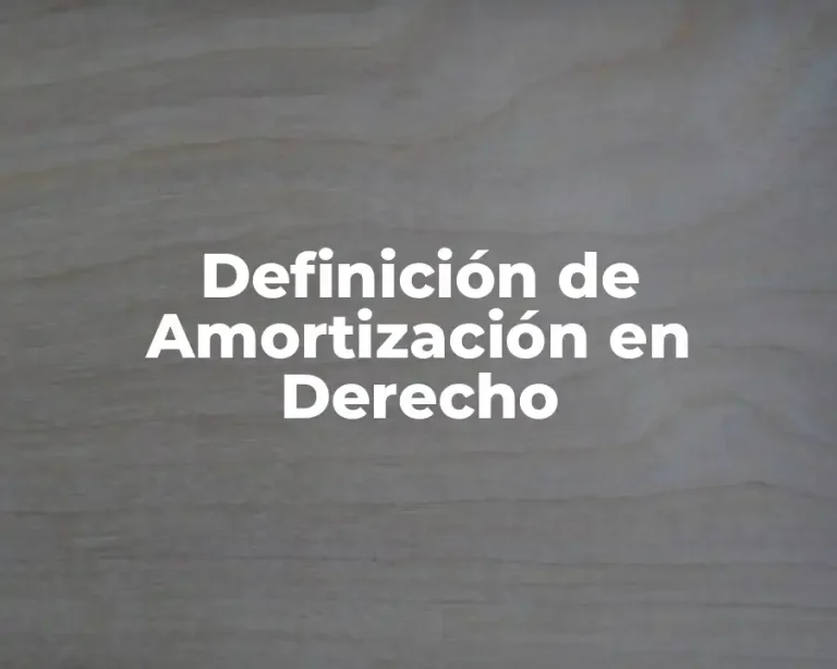 Definición de Amortización en Derecho