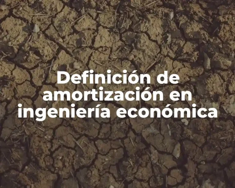 Definición de amortización en ingeniería económica