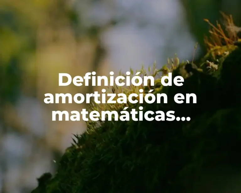 Definición de amortización en matemáticas financieras