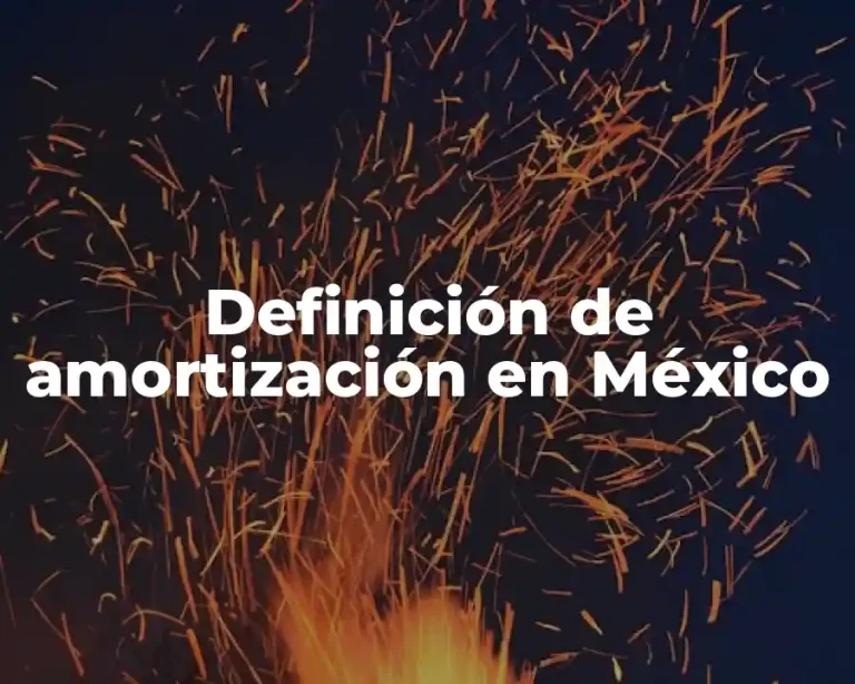 Definición de amortización en México
