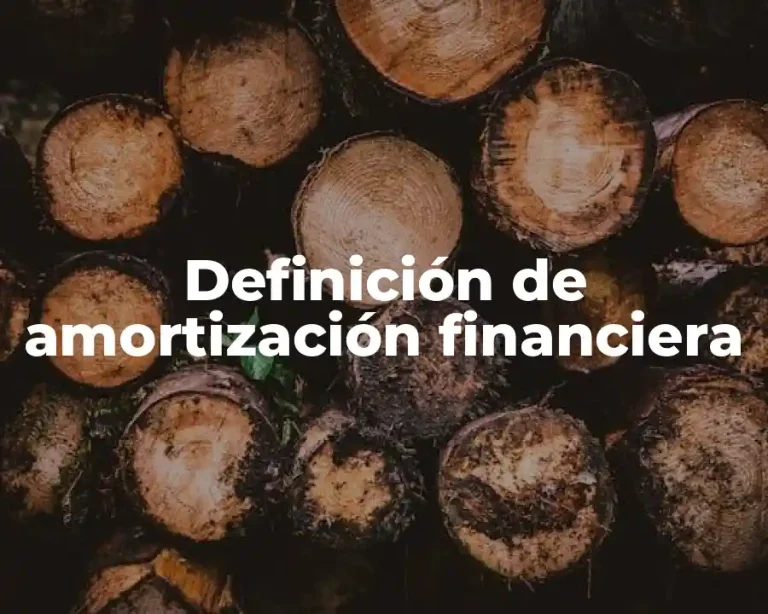 Definición de amortización financiera