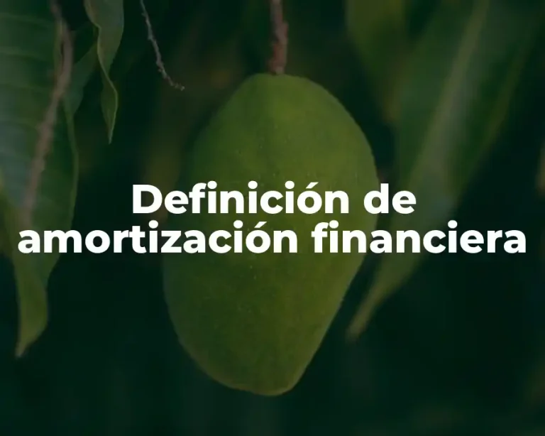 Definición de amortización financiera
