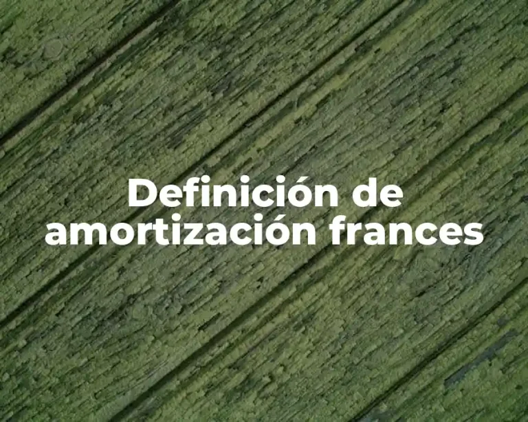 Definición de amortización frances