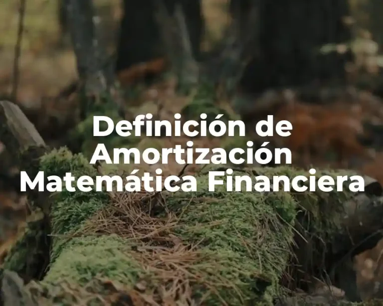 Definición de Amortización Matemática Financiera