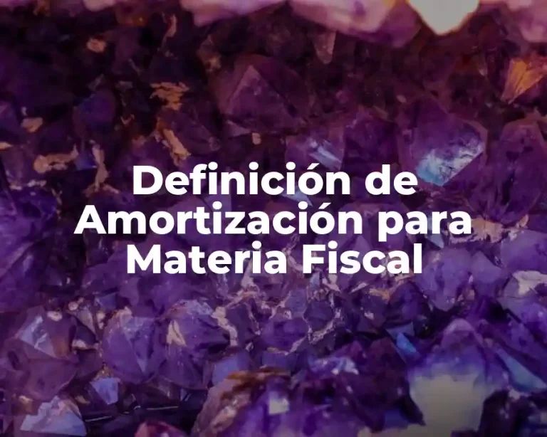 Definición de Amortización para Materia Fiscal