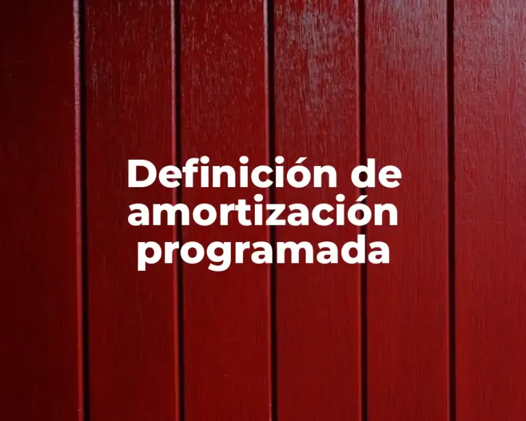 Definición de amortización programada