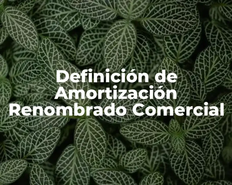 Definición de Amortización Renombrado Comercial