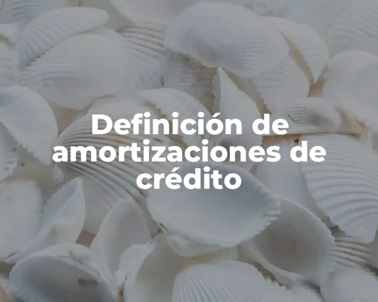 Definición de amortizaciones de crédito